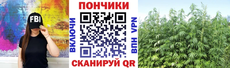Купить закладку Конопля  Cocaine  Alpha PVP  Меф  Шатура