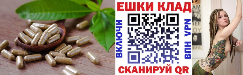 Купить закладки Шатура Ecstasy круглые