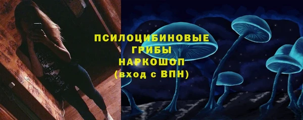 Альфа ПВП Белокуриха
