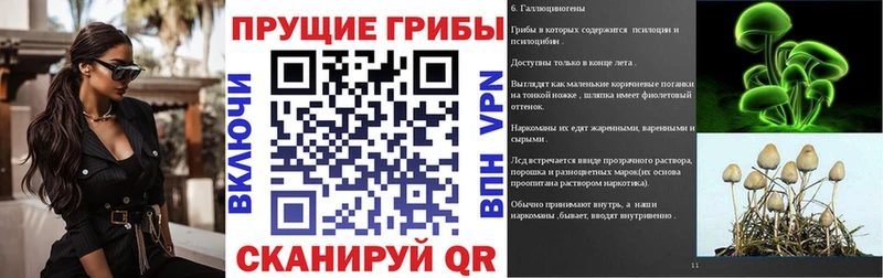 Галлюциногенные грибы ЛСД  Купить закладки  Шатура 